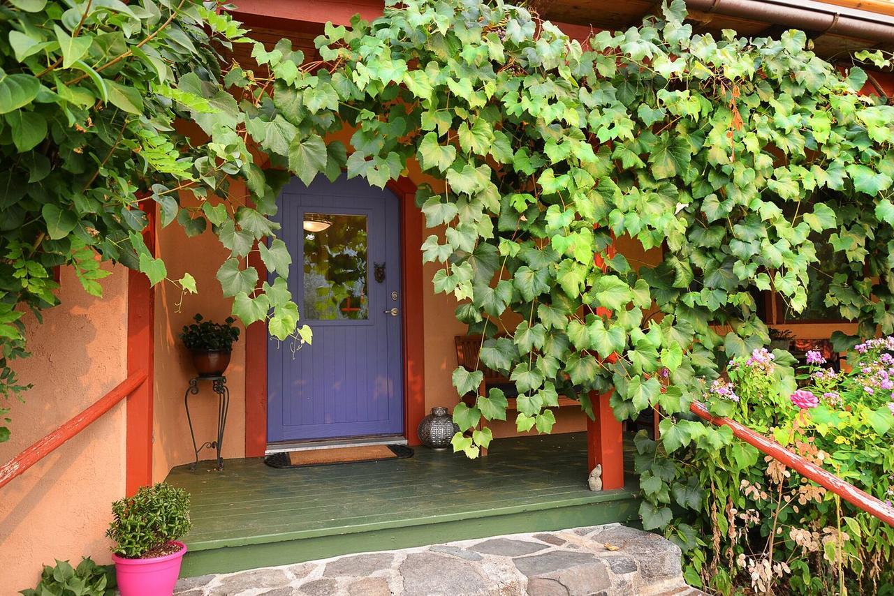 Sunshine Villa B&B Madeira Park Екстериор снимка
